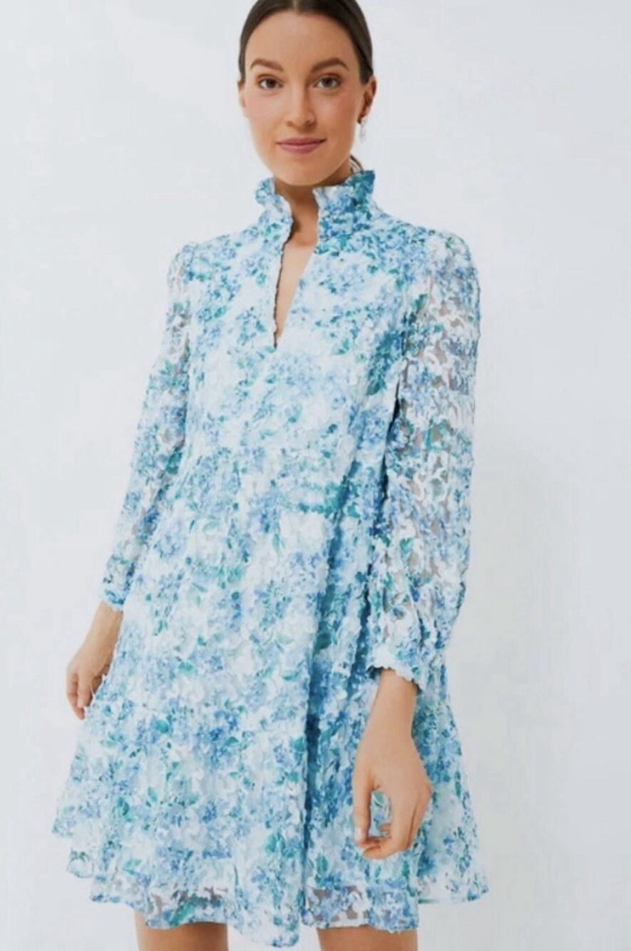 Tuckernuck Palmerston Dress Water's Edge Hydrangea Organza Sz Medium Blue NWOT